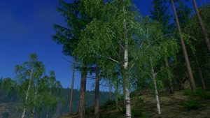 Мод Silver Birch 2 - береза для Cities Skylines