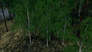 Мод Silver Birch 2 - береза для Cities Skylines