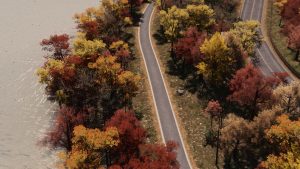 Autumn Theme - Осенняя тема для Cities Skylines