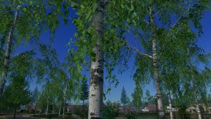 Мод Silver Birch 2 - береза для Cities Skylines