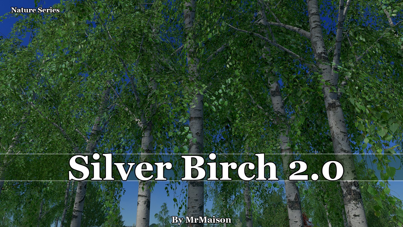 Мод Silver Birch 2 - береза для Cities Skylines