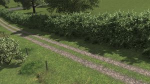 Пак грунтовых дорог Dirt Roads Asset Pack для Cities Skylines