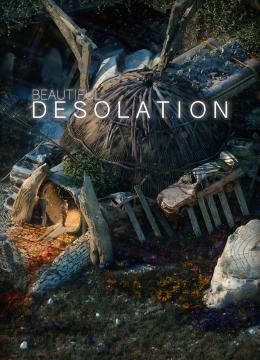 Beautiful Desolation