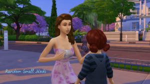 Random Small Mods для Sims 4